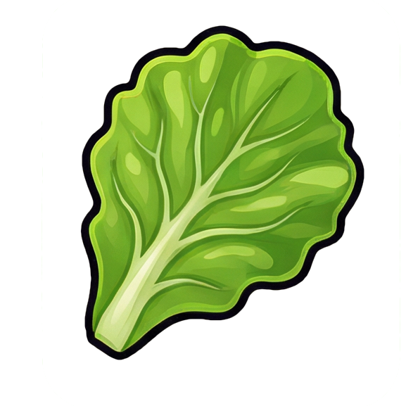 Lettuce